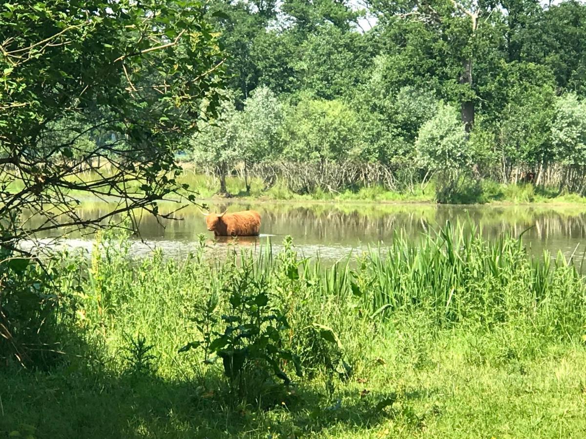 In De Tuin In Gees Villa Екстериор снимка